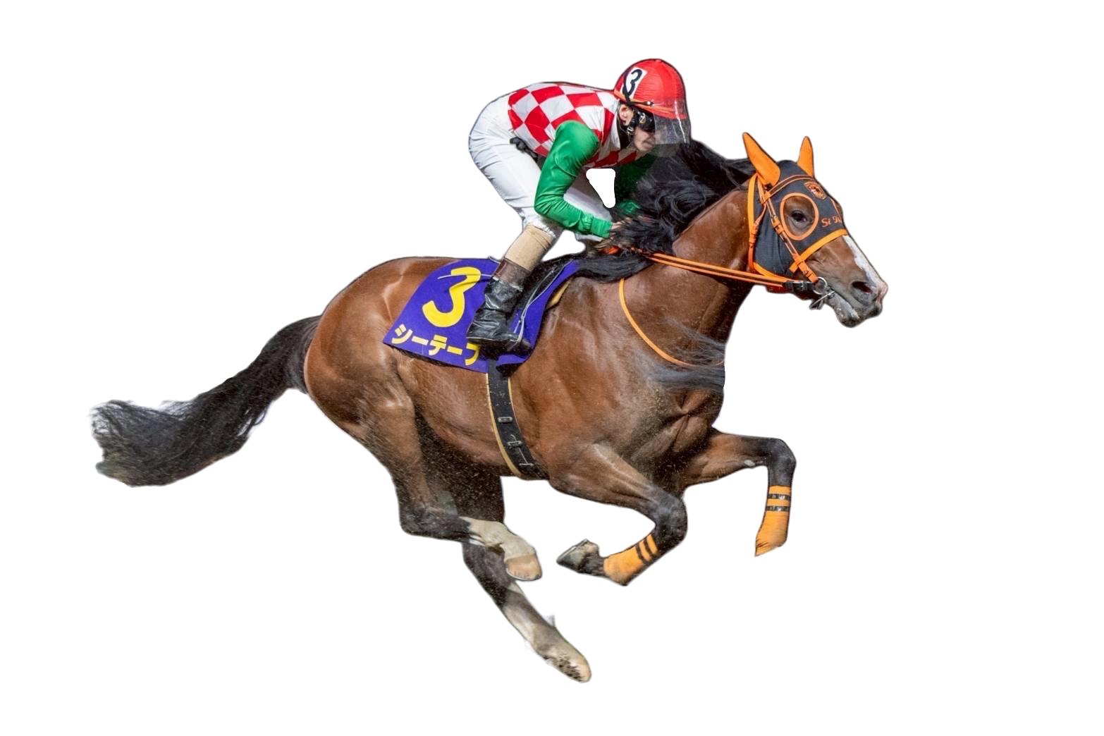 競走馬と騎手